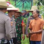 Kapolres Katingan, AKBP Chandra Ismawanto, bersama jajaran Polres Katingan dan petani setempat, saat melaksanakan panen raya jagung di lahan produksi Dusun Hampangen, Desa Luwuk Kanan, Kecamatan Tasik Payawan, Kabupaten Katingan.