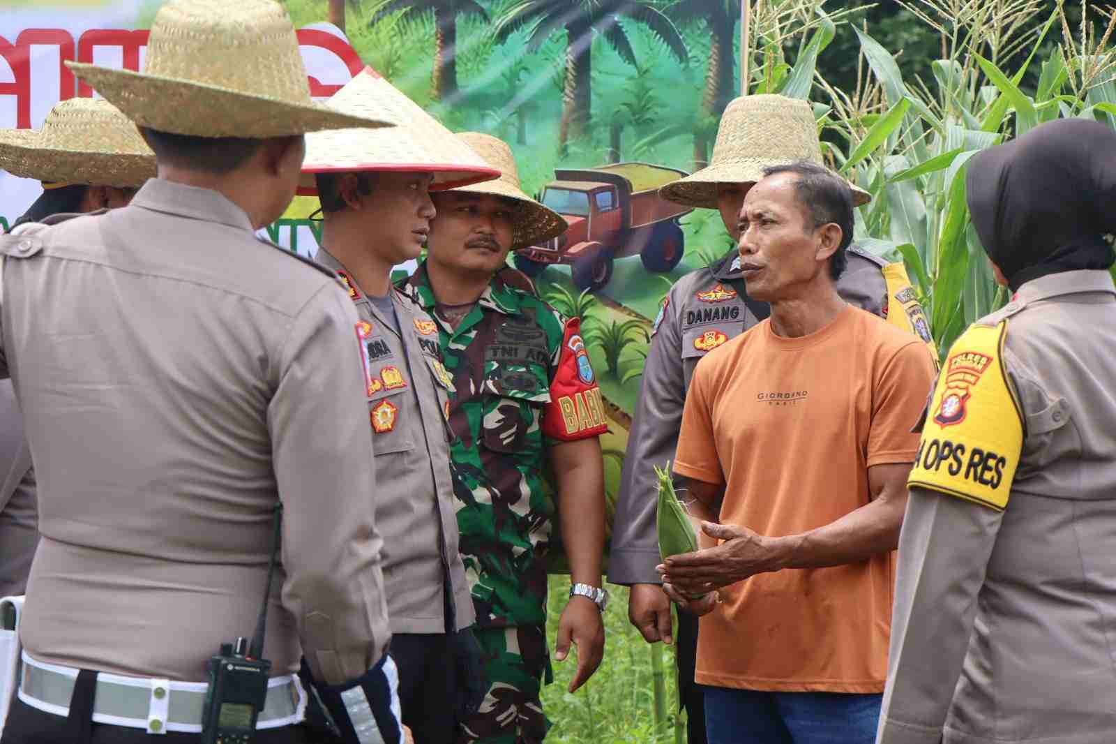 Kapolres Katingan, AKBP Chandra Ismawanto, bersama jajaran Polres Katingan dan petani setempat, saat melaksanakan panen raya jagung di lahan produksi Dusun Hampangen, Desa Luwuk Kanan, Kecamatan Tasik Payawan, Kabupaten Katingan.