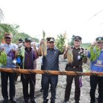 Bupati Kapuas HM WIyatno, SP melaksanakan Panen Padi dan Pare milik Kelompok Tani Maju Bersama, Kelurahan Sei Pasah, Kecamatan Kapuas Hilir